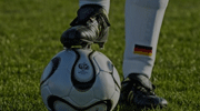 德甲录像  2024年03月31日 拜仁慕尼黑vs多特蒙德比赛视频完整直播回看